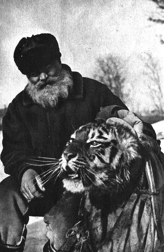 Тигр _24.jpg
