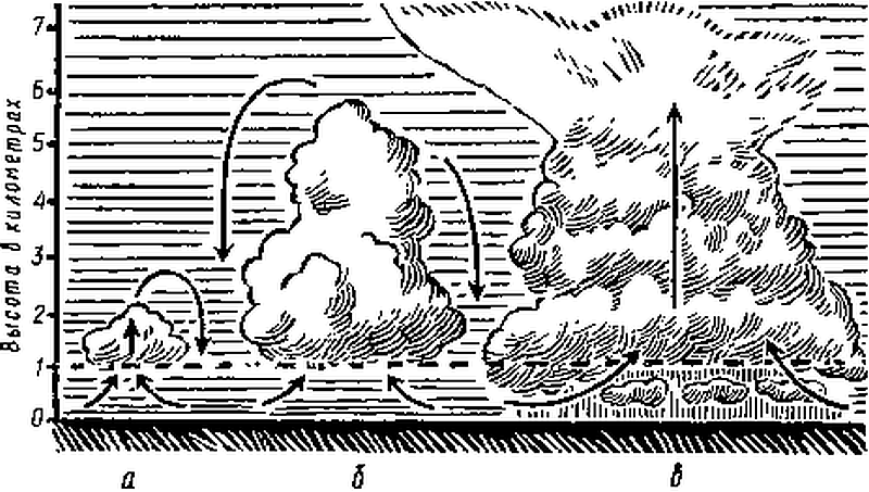 Сам себе синоптик nonjpegpng_i_022.png