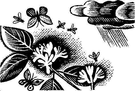 Сам себе синоптик nonjpegpng_i_024.png