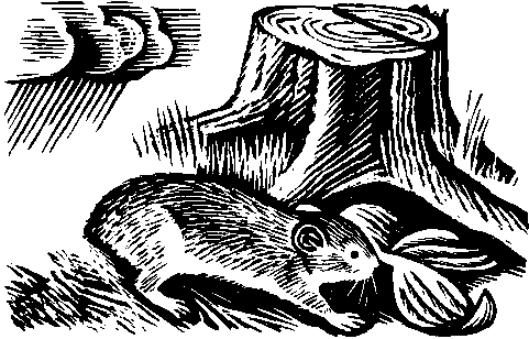 Сам себе синоптик nonjpegpng_i_028.png