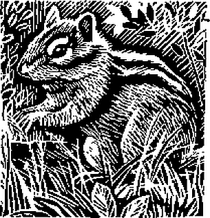Сам себе синоптик nonjpegpng_i_029.png