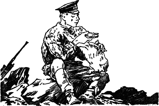 Батарейный заяц pic_1.png