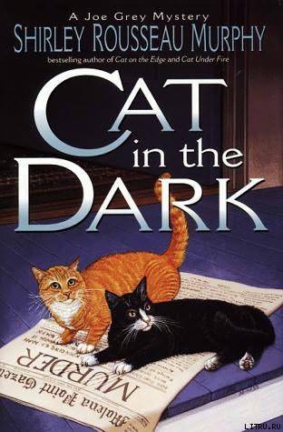 Cat in the Dark pic_1.jpg