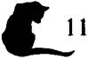 Cat in the Dark pic_12.jpg