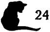 Cat in the Dark pic_25.jpg