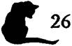 Cat in the Dark pic_27.jpg