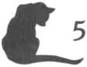 Cat in the Dark pic_6.jpg