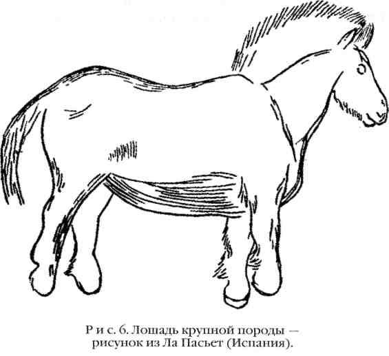 Повседневная жизнь охотников на мамонтов img_6.jpeg