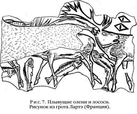 Повседневная жизнь охотников на мамонтов img_7.jpeg