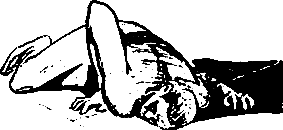 Фарсаны (с илл.) pic_17.png