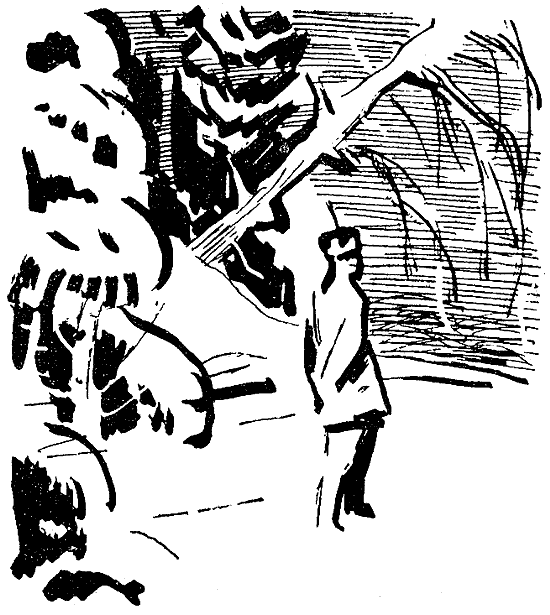 Искатель. 1969. Выпуск №6 i_025.png
