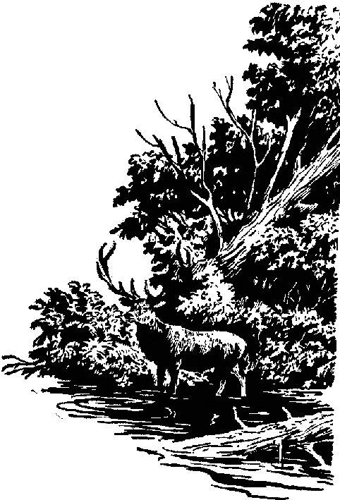 По Уссурийскому краю _1.png_0.png