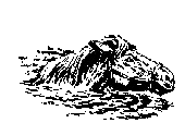 По Уссурийскому краю _9.png_0.png