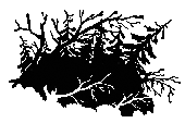 По Уссурийскому краю _10.png_0.png