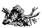 По Уссурийскому краю _3.png_0.png