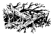 По Уссурийскому краю _18.png_0.png