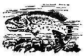 По Уссурийскому краю _26.png_0.png
