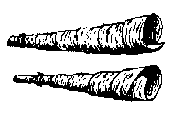По Уссурийскому краю _27.png_0.png