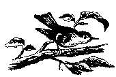 По Уссурийскому краю _5.png_0.png