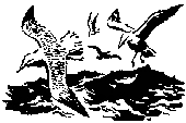 По Уссурийскому краю _31.png_0.png