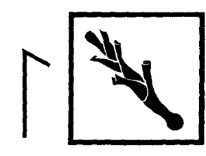 Магия рун i_030.png