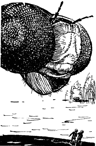 Их было четверо i_015.png