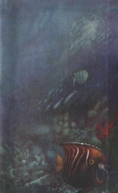 Експедиція «Гондвана» im_11_55_57