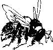 Пчелиная напасть _6.png