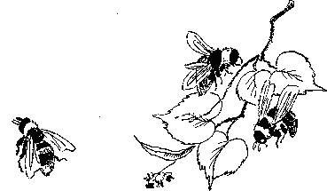 Пчелиная напасть _7.png