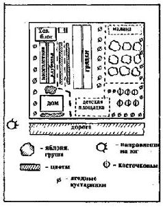 Как благоустроить приусадебный участок pic_3.jpg