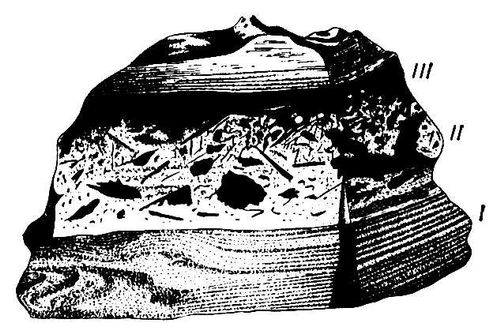 Большая Советская Энциклопедия (ФЛ) i009-001-208170184.jpg