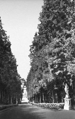 Большая Советская Энциклопедия (ФЛ) i008-pictures-001-291050609.jpg