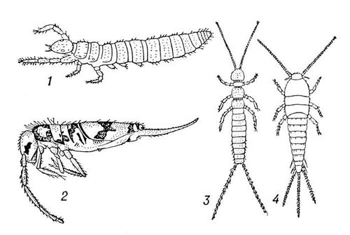 Большая Советская Энциклопедия (АП) i010-001-264373905.jpg