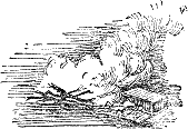 Джек-Соломинка a08.png