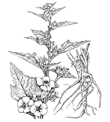 Большая Советская Энциклопедия (АЛ) i010-001-261038474.jpg