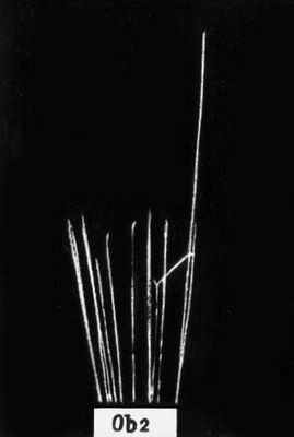 Большая Советская Энциклопедия (АЛ) i008-pictures-001-299474316.jpg