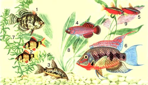 Большая Советская Энциклопедия (АК) i010-001-252128497.jpg