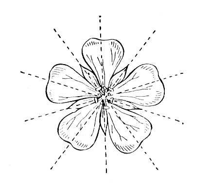 Большая Советская Энциклопедия (АК) i009-001-226708501.jpg