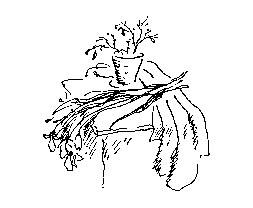Бег на трех ногах img17.png