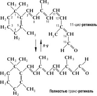 Большая Советская Энциклопедия (РО) i-images-139787005.jpg