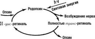 Большая Советская Энциклопедия (РО) i-images-185055895.jpg