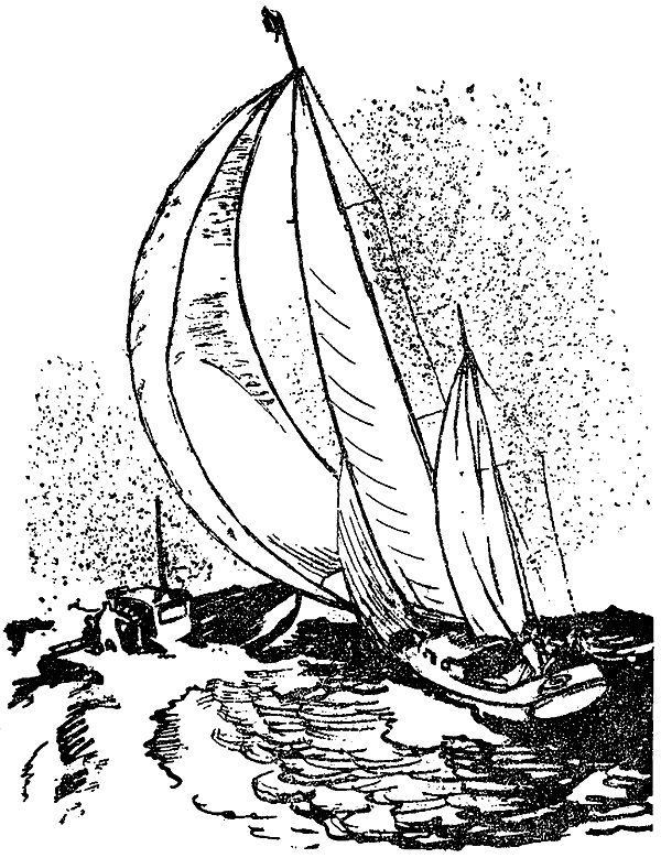 Крушение «Мэри Диар» i_013.png