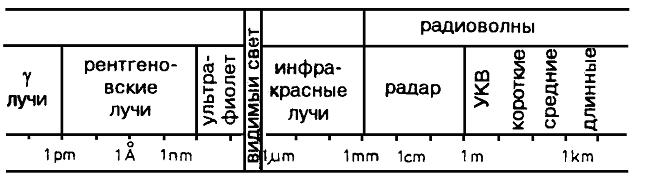 Эволюционная теория познания : врождённые структуры познания в контексте биологии, психологии, лингвистики, философии и теории науки ris3.JPG