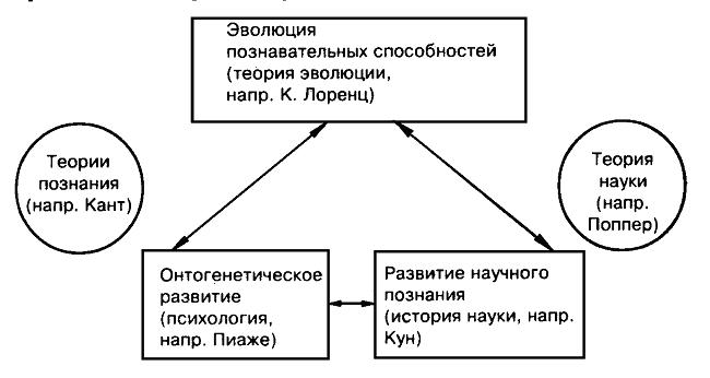 Эволюционная теория познания : врождённые структуры познания в контексте биологии, психологии, лингвистики, философии и теории науки ris12.JPG