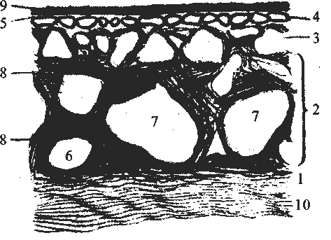 Клинические лекции по офтальмологии image01.png