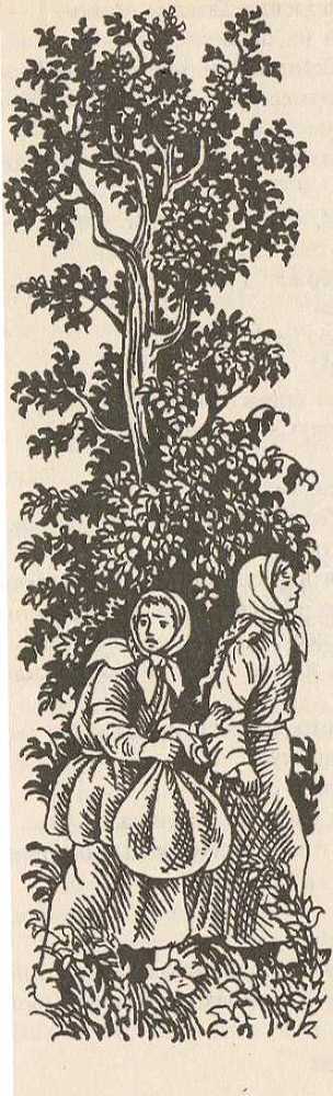 Исполнение предсказаний i_012.jpg