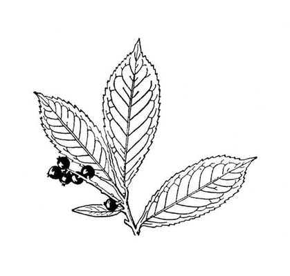 Большая Советская Энциклопедия (ЛА) i009-001-205342360.jpg