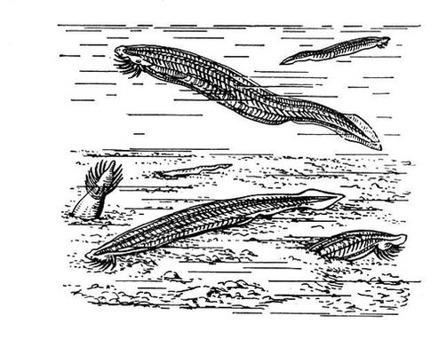 Большая Советская Энциклопедия (ЛА) i009-001-216148995.jpg