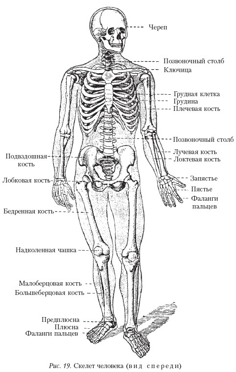 Массаж _19.jpg