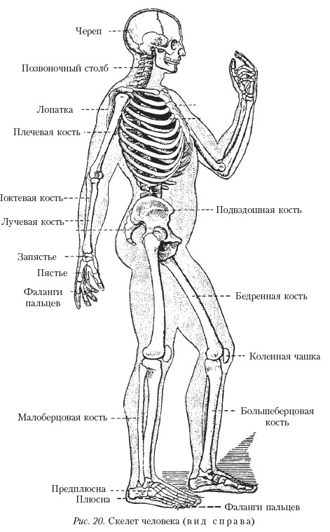 Массаж _20.jpg